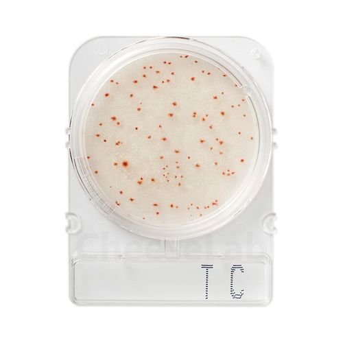 Compact Dry Bactérias Totais TC - 100 testes